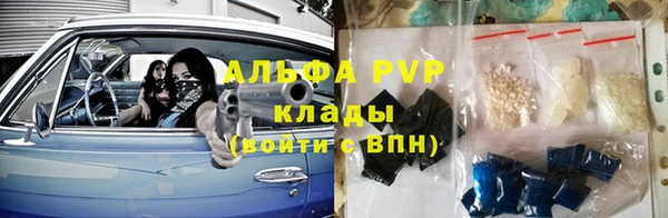сатива Баксан