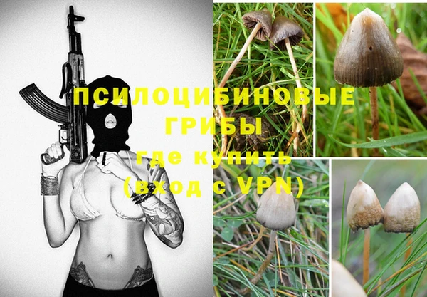 ешки Арсеньев